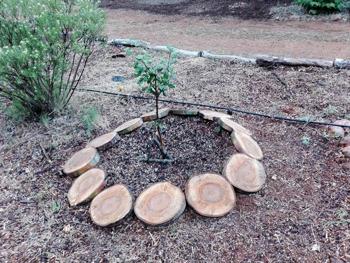 Educación ambiental