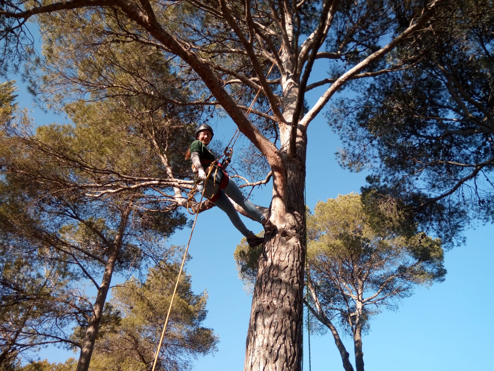 poda en altura