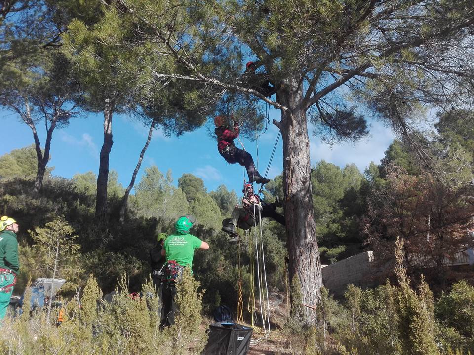 poda en altura