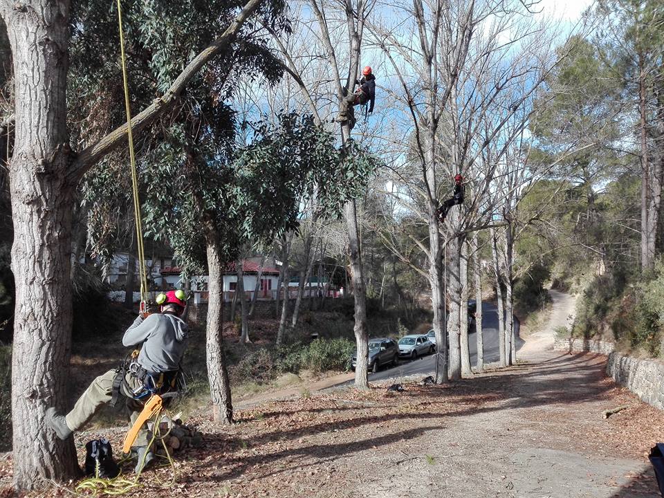 poda en altura