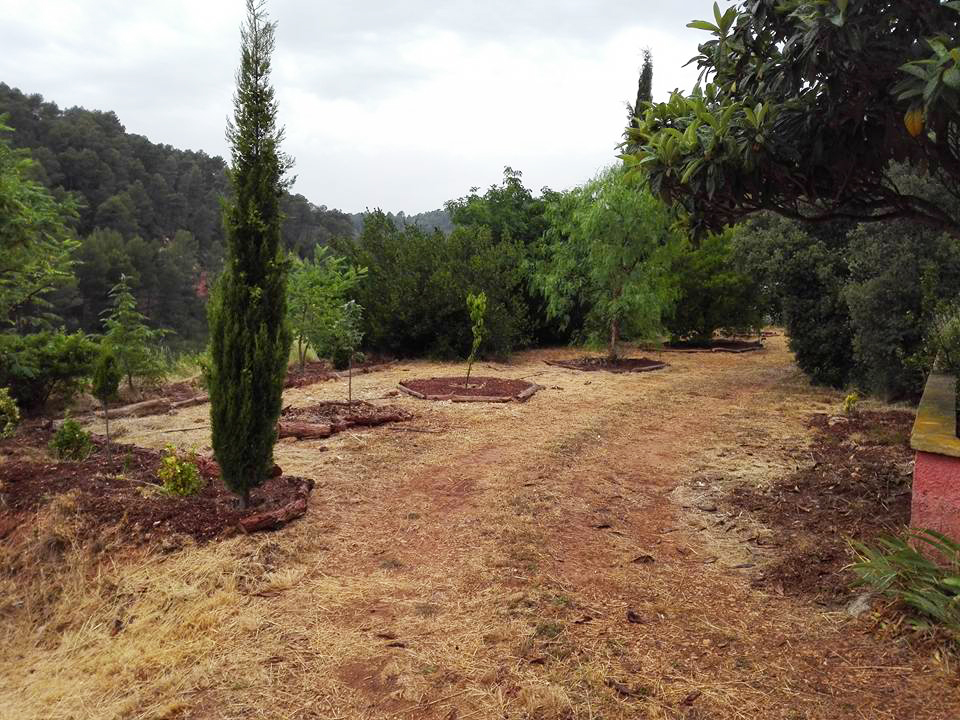 poda en altura